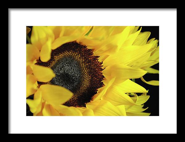 Raw Flowers 13 - Framed Print