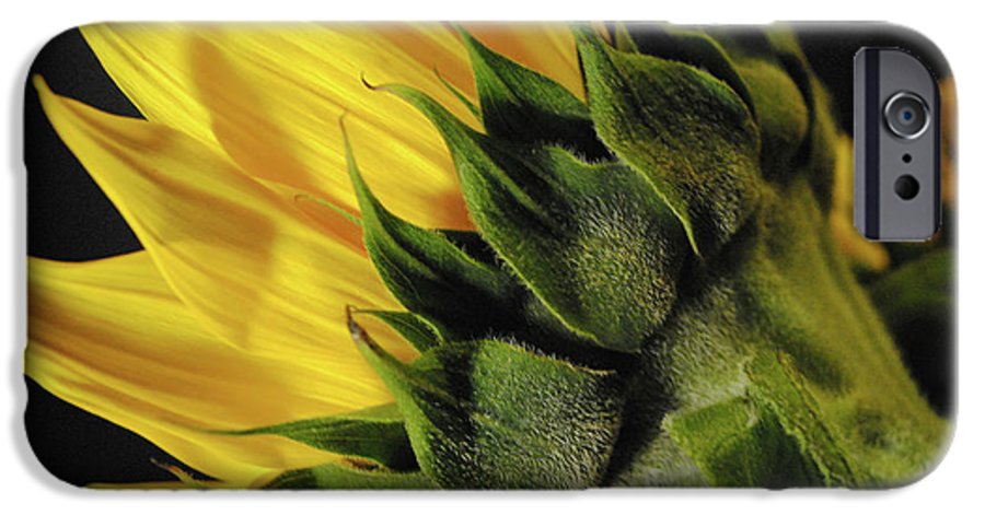 Raw Flowers 14 - Phone Case