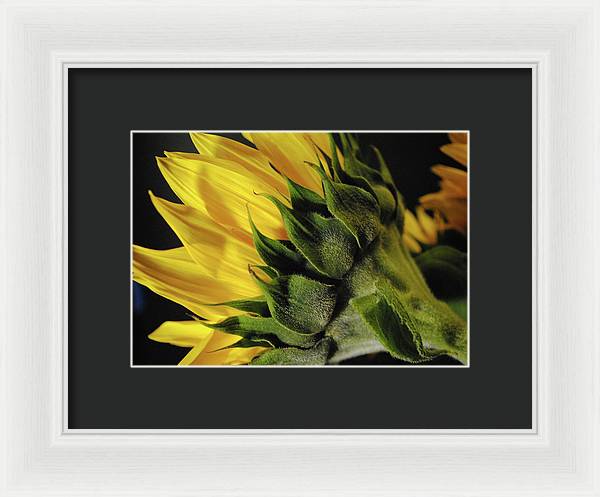 Raw Flowers 14 - Framed Print