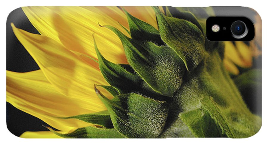 Raw Flowers 14 - Phone Case