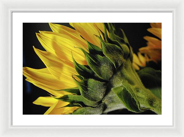 Raw Flowers 14 - Framed Print