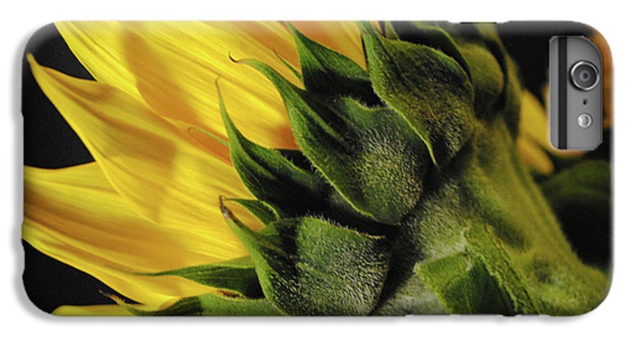 Raw Flowers 14 - Phone Case