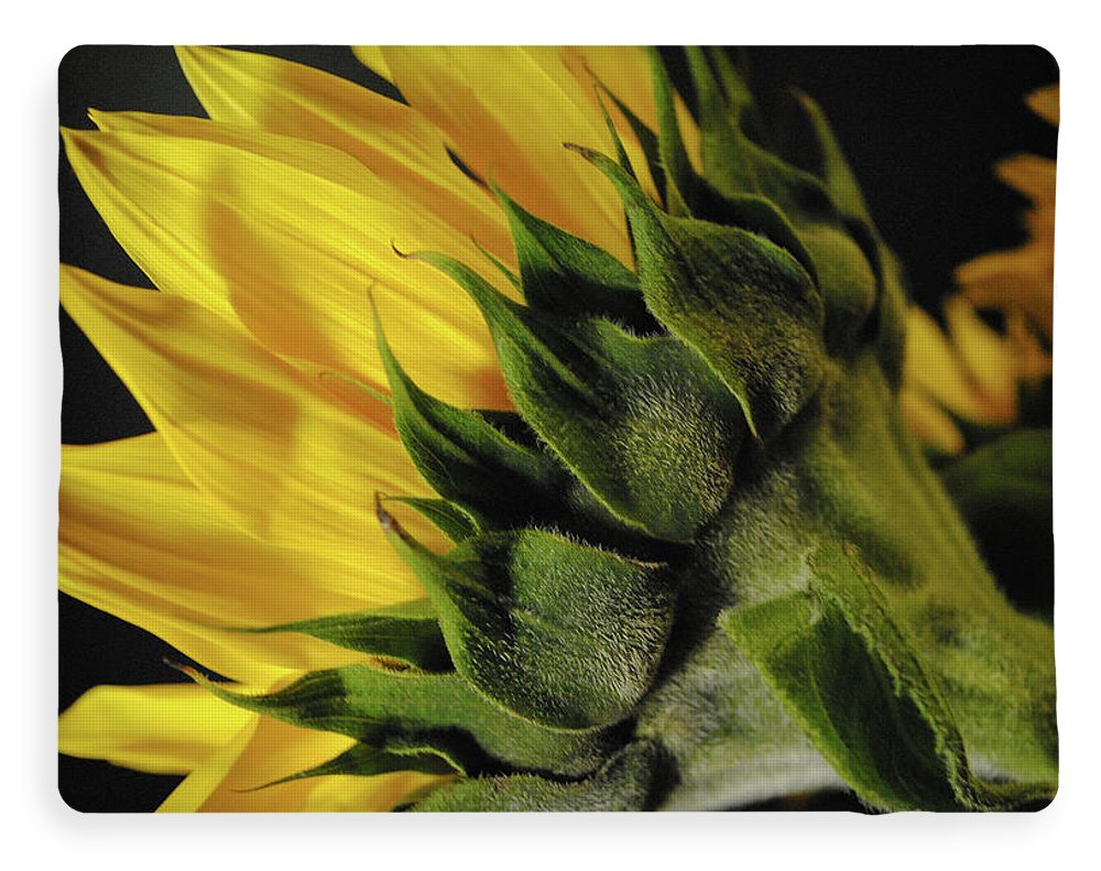 Raw Flowers 14 - Blanket