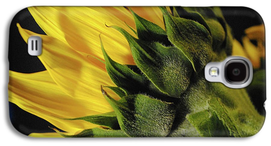 Raw Flowers 14 - Phone Case