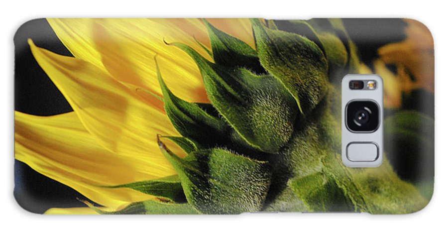 Raw Flowers 14 - Phone Case