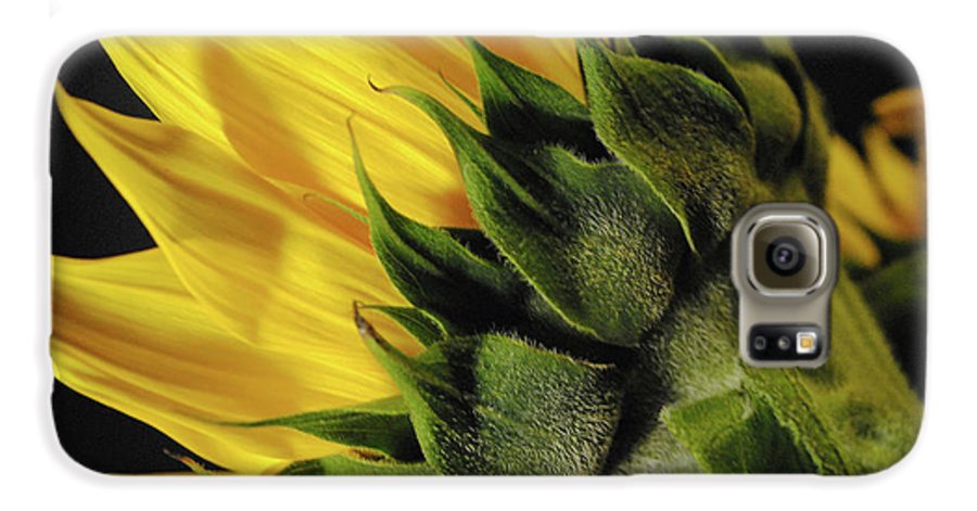 Raw Flowers 14 - Phone Case