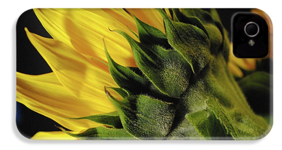 Raw Flowers 14 - Phone Case