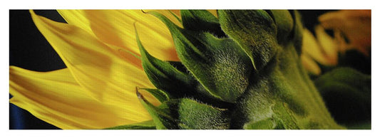 Raw Flowers 14 - Yoga Mat