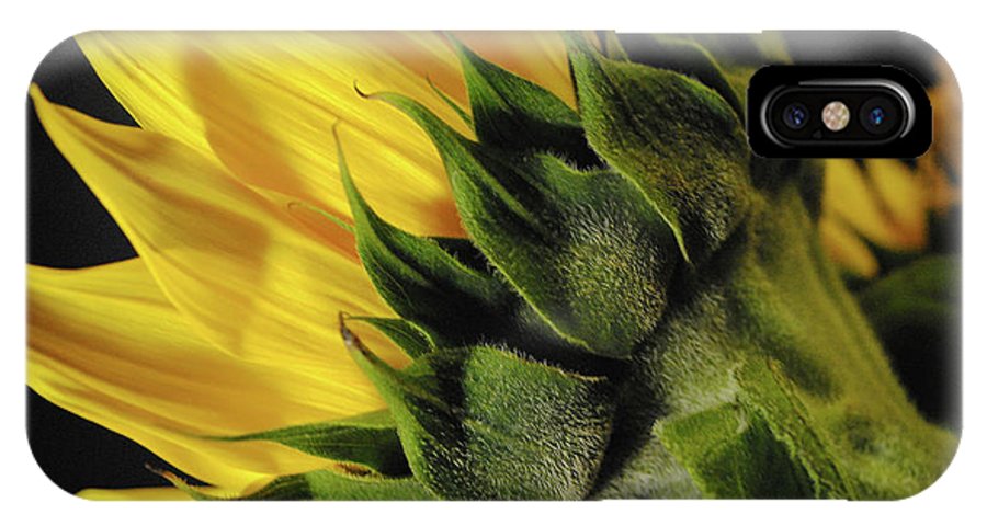 Raw Flowers 14 - Phone Case