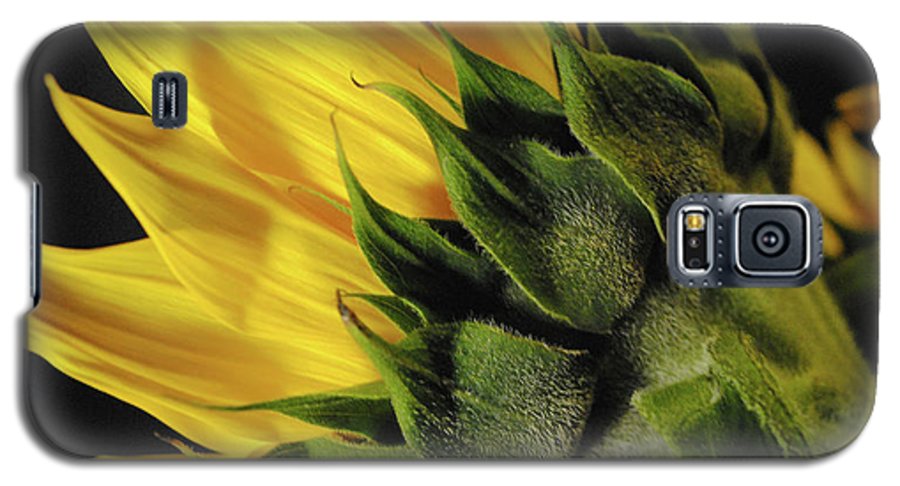 Raw Flowers 14 - Phone Case