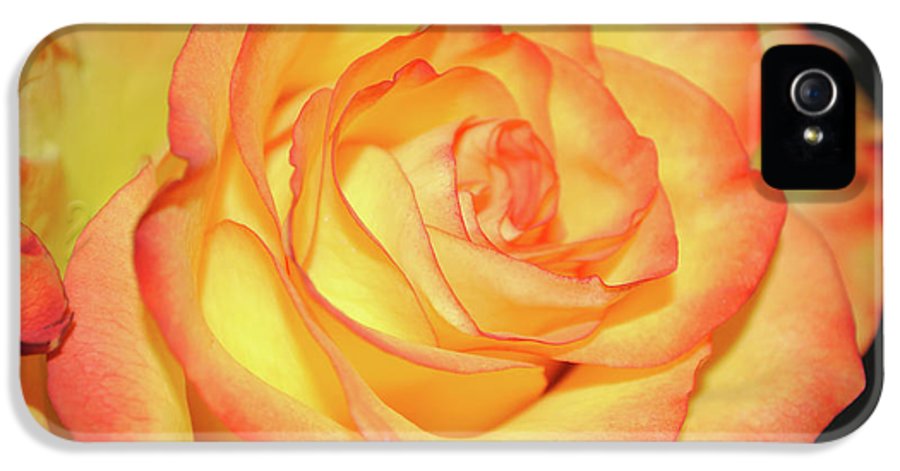 Raw Flowers 5 - Phone Case