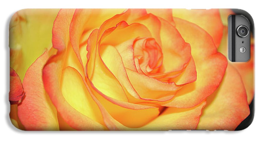 Raw Flowers 5 - Phone Case