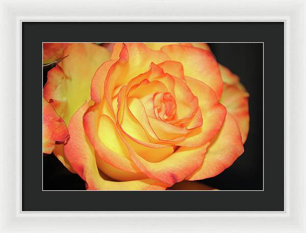 Raw Flowers 5 - Framed Print
