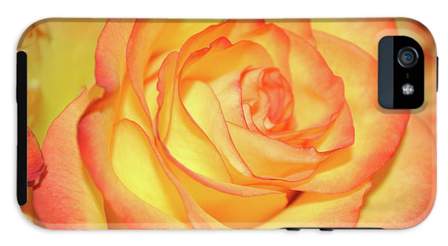 Raw Flowers 5 - Phone Case