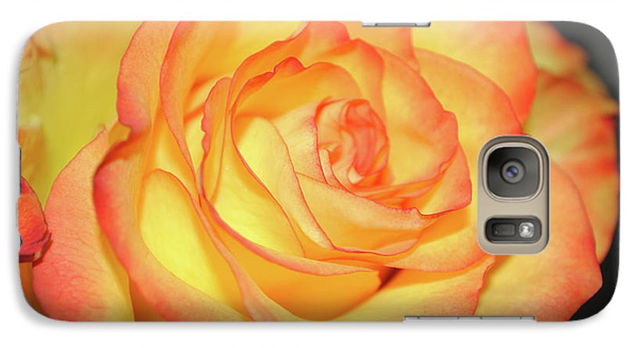Raw Flowers 5 - Phone Case