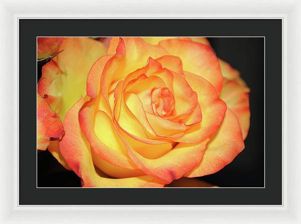Raw Flowers 5 - Framed Print