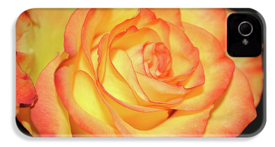 Raw Flowers 5 - Phone Case
