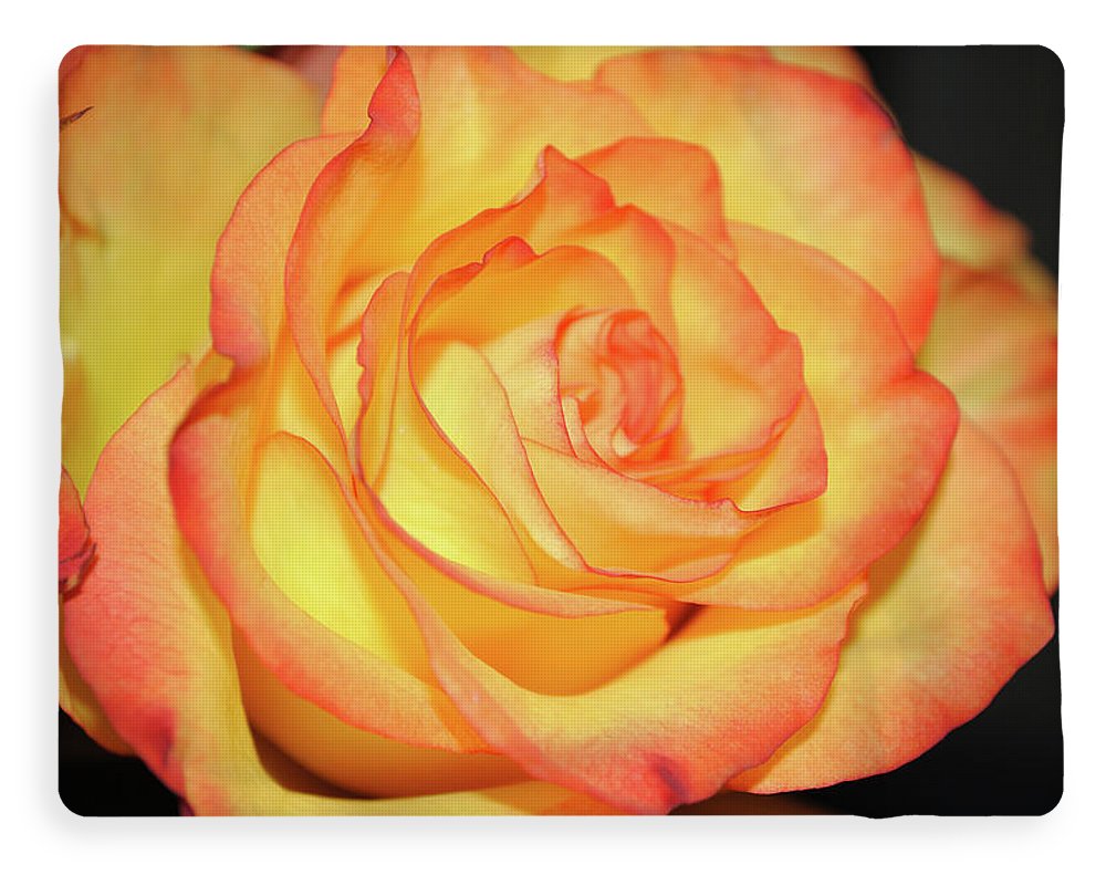 Raw Flowers 5 - Blanket