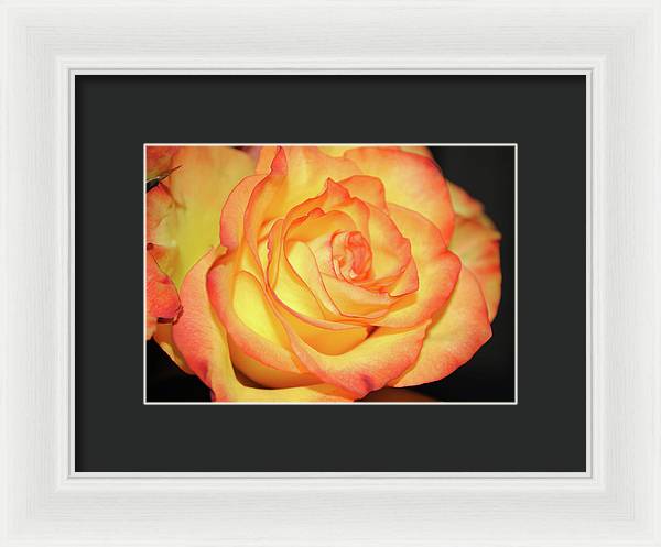 Raw Flowers 5 - Framed Print