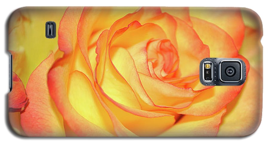 Raw Flowers 5 - Phone Case