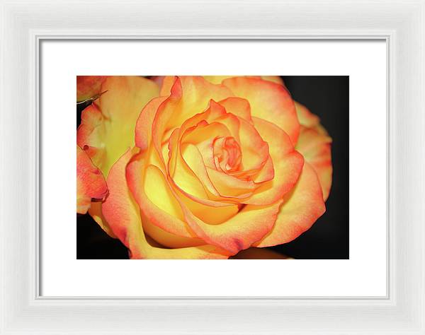 Raw Flowers 5 - Framed Print