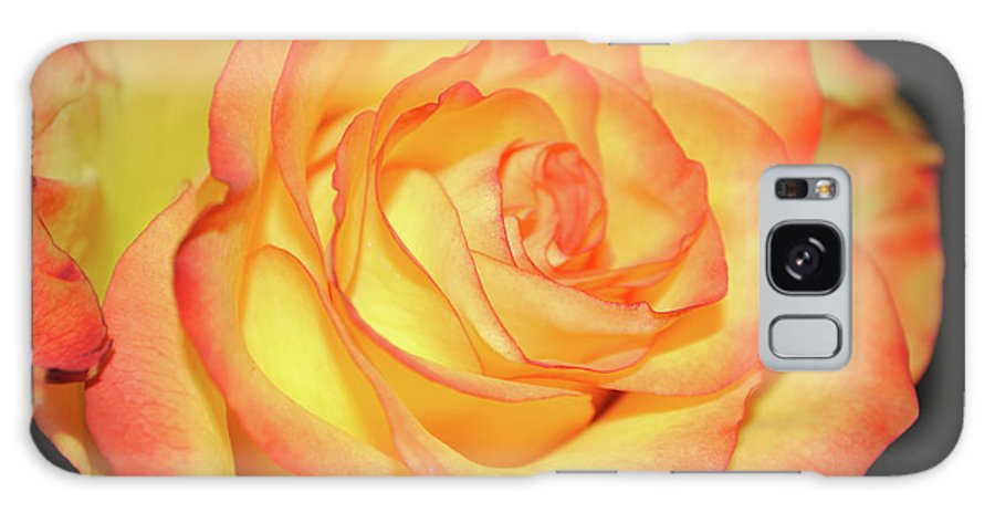 Raw Flowers 5 - Phone Case