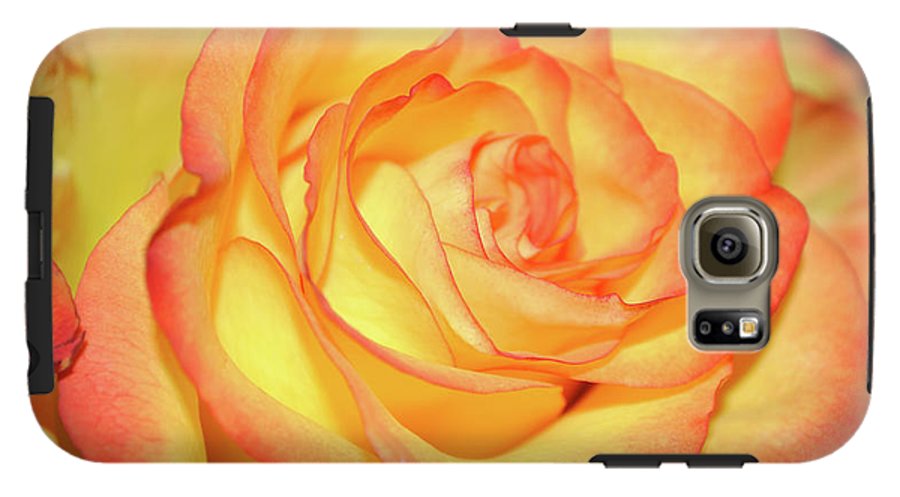 Raw Flowers 5 - Phone Case