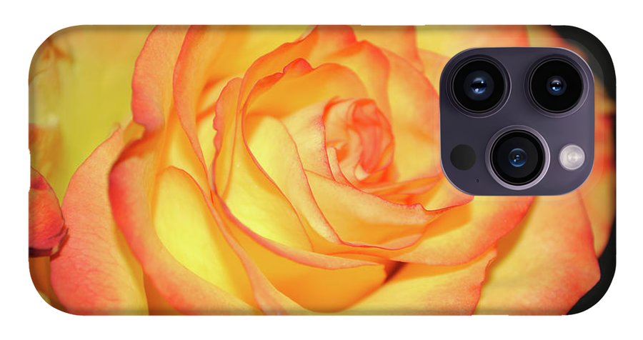 Raw Flowers 5 - Phone Case