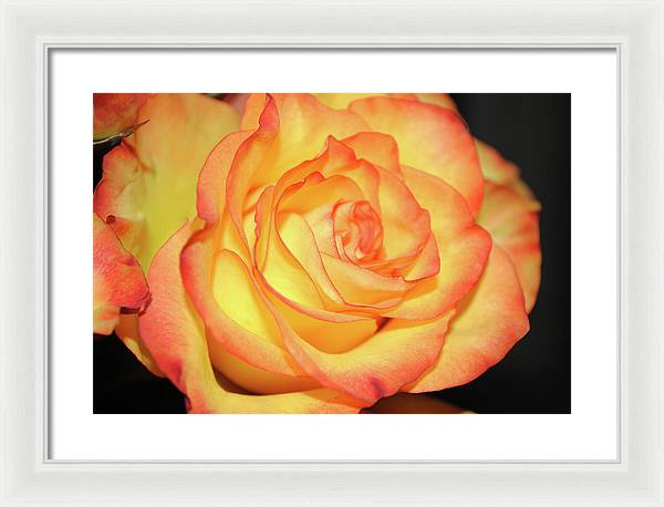 Raw Flowers 5 - Framed Print