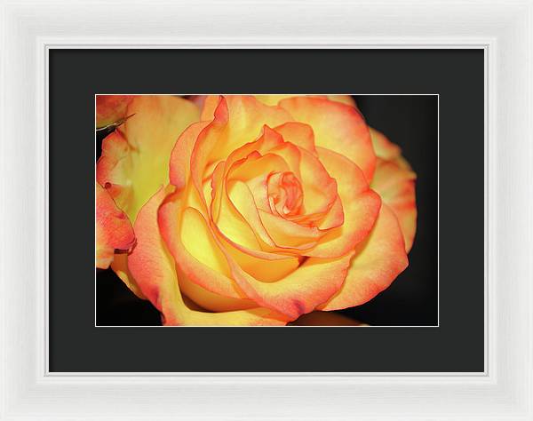 Raw Flowers 5 - Framed Print