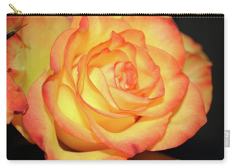 Raw Flowers 5 - Carry-All Pouch