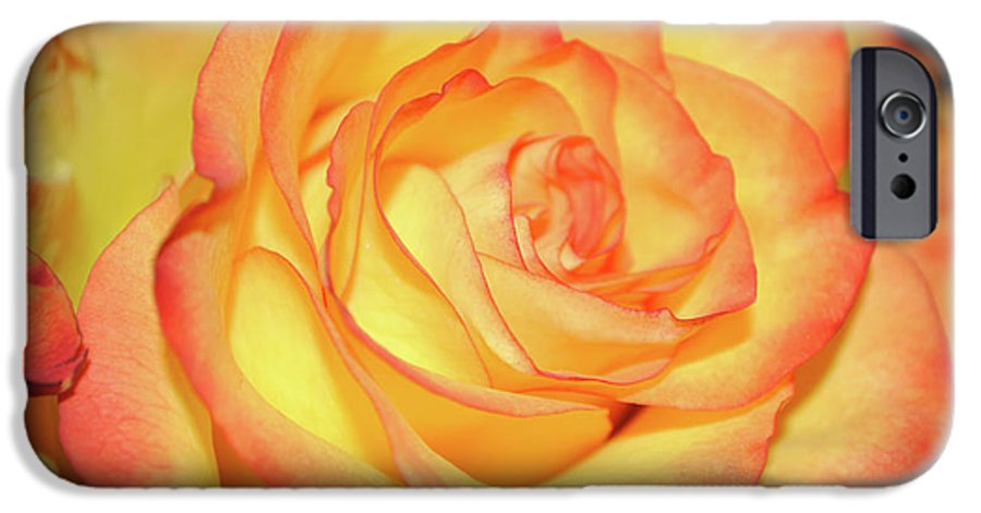 Raw Flowers 5 - Phone Case