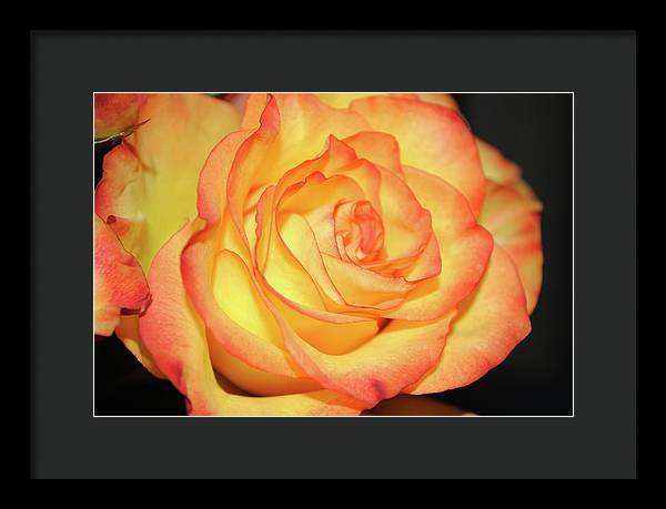 Raw Flowers 5 - Framed Print