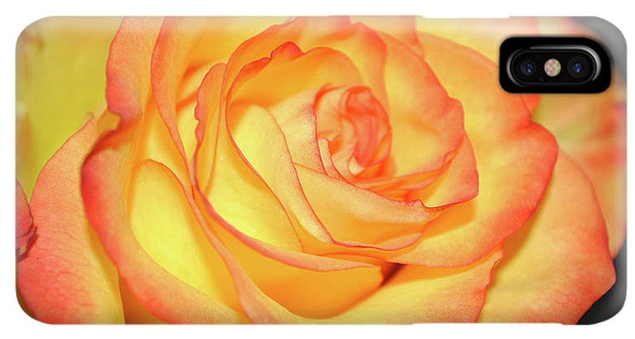 Raw Flowers 5 - Phone Case