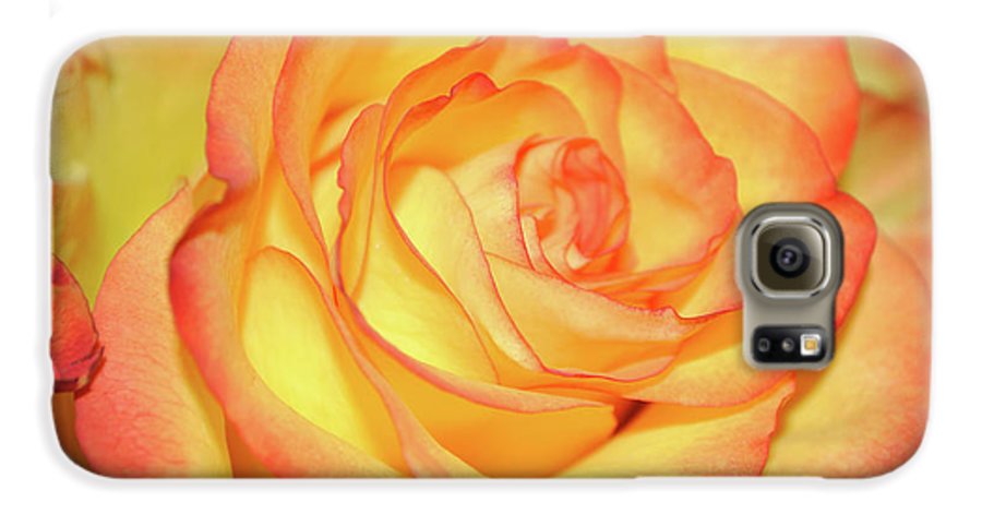 Raw Flowers 5 - Phone Case