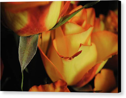 Raw Flowers 6 - Canvas Print