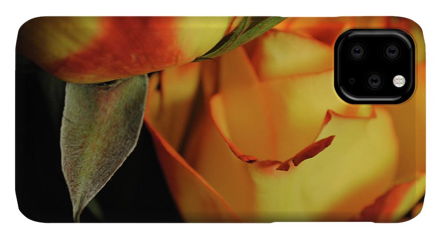 Raw Flowers 6 - Phone Case