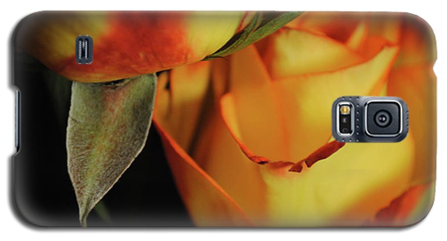 Raw Flowers 6 - Phone Case