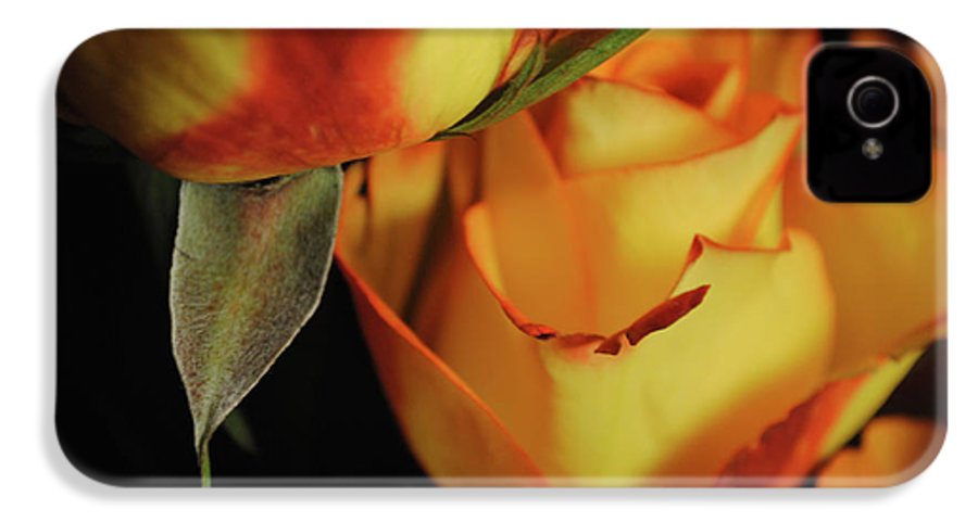 Raw Flowers 6 - Phone Case