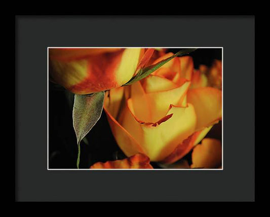 Raw Flowers 6 - Framed Print