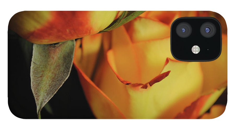 Raw Flowers 6 - Phone Case