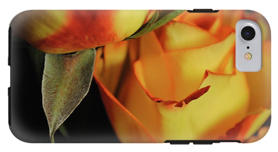 Raw Flowers 6 - Phone Case