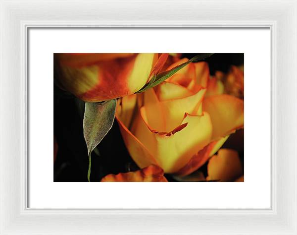 Raw Flowers 6 - Framed Print
