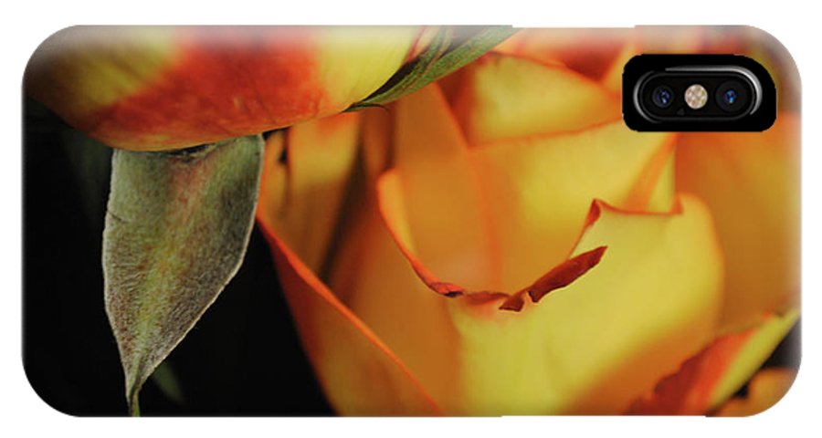 Raw Flowers 6 - Phone Case