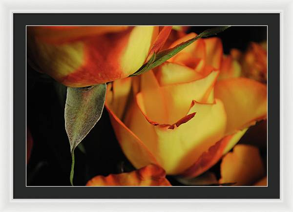 Raw Flowers 6 - Framed Print