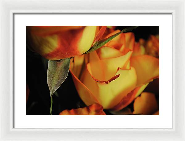 Raw Flowers 6 - Framed Print