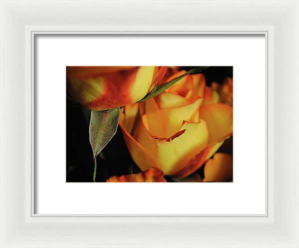 Raw Flowers 6 - Framed Print