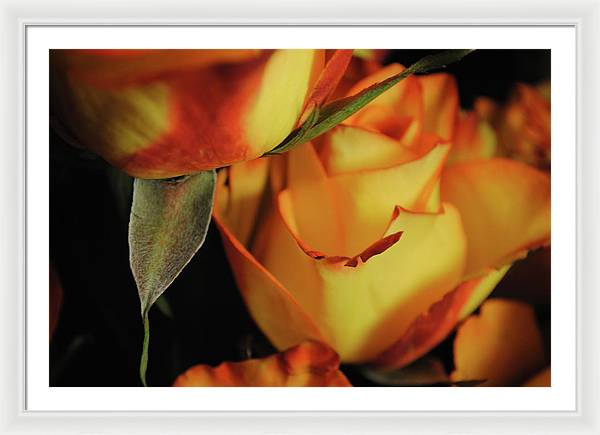 Raw Flowers 6 - Framed Print