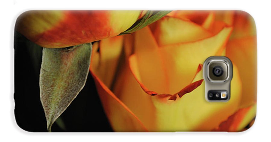 Raw Flowers 6 - Phone Case