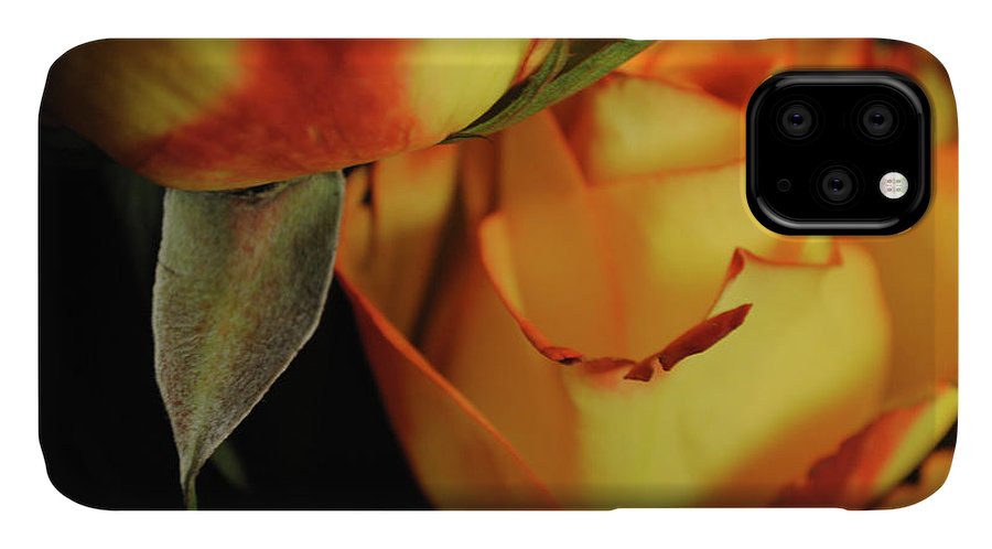 Raw Flowers 6 - Phone Case